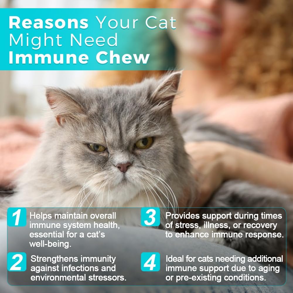 Pets Cat Immune Chews - 60 Count | Immune System Support for Cats | Antioxidant-Rich Formula with Essential Nutrients