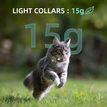 AirTag Cat Collar – Reflective Kitten Collars with Integrated Apple Air Tag Holder | Lightweight, Elastic Safety Cat AirTag Collar with Bell for Girl Boy Cats, Kittens, and Puppies (Orange, S)