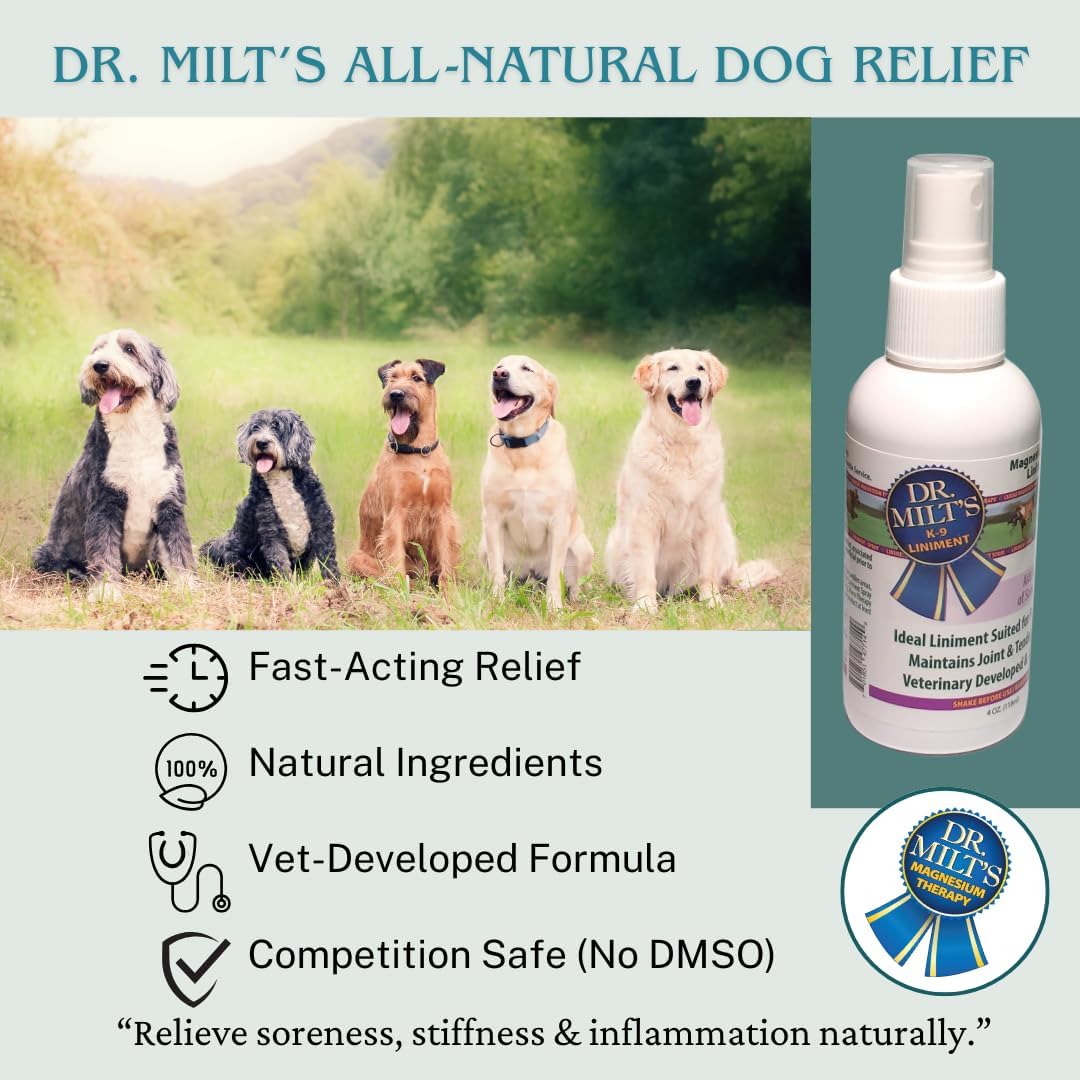 Dr. Milt's Dog Hip and Joint Pain Relief Spray, Topical Magnesium Sulfate & Arnica Ointment. Reduces Inflammation, Lessens Tenderness and Alleviates Nervousness. 1-4oz Spray