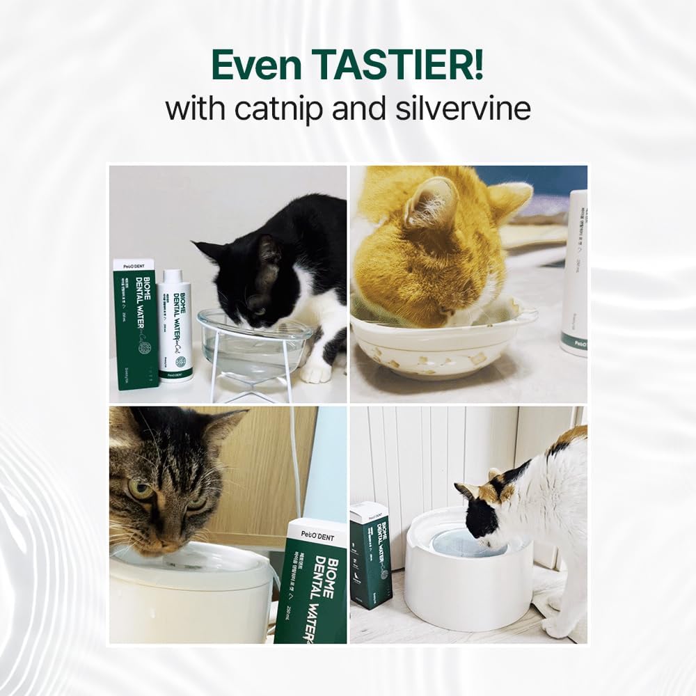 PetO’Dent Dental Water Additive for Cats–No Brushing Needed, Fresh Breath, Tartar Control & Gum Care with Catnip & Silvervine Extracts, 8.45 fl oz / 250ml