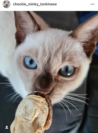 Freeze Dried New Zealand Green Lipped Mussels Healthy Dog & Cat Treats - Single Ingredient, No Artificial Colours, Additives, or Preservatives | Omega-3 | Joint & Hip Health | Grain Free