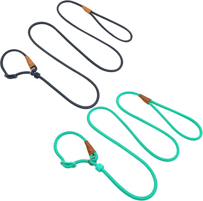 6ft Small Dog Training Leash, 1/4 inch (Black +Turquoise)