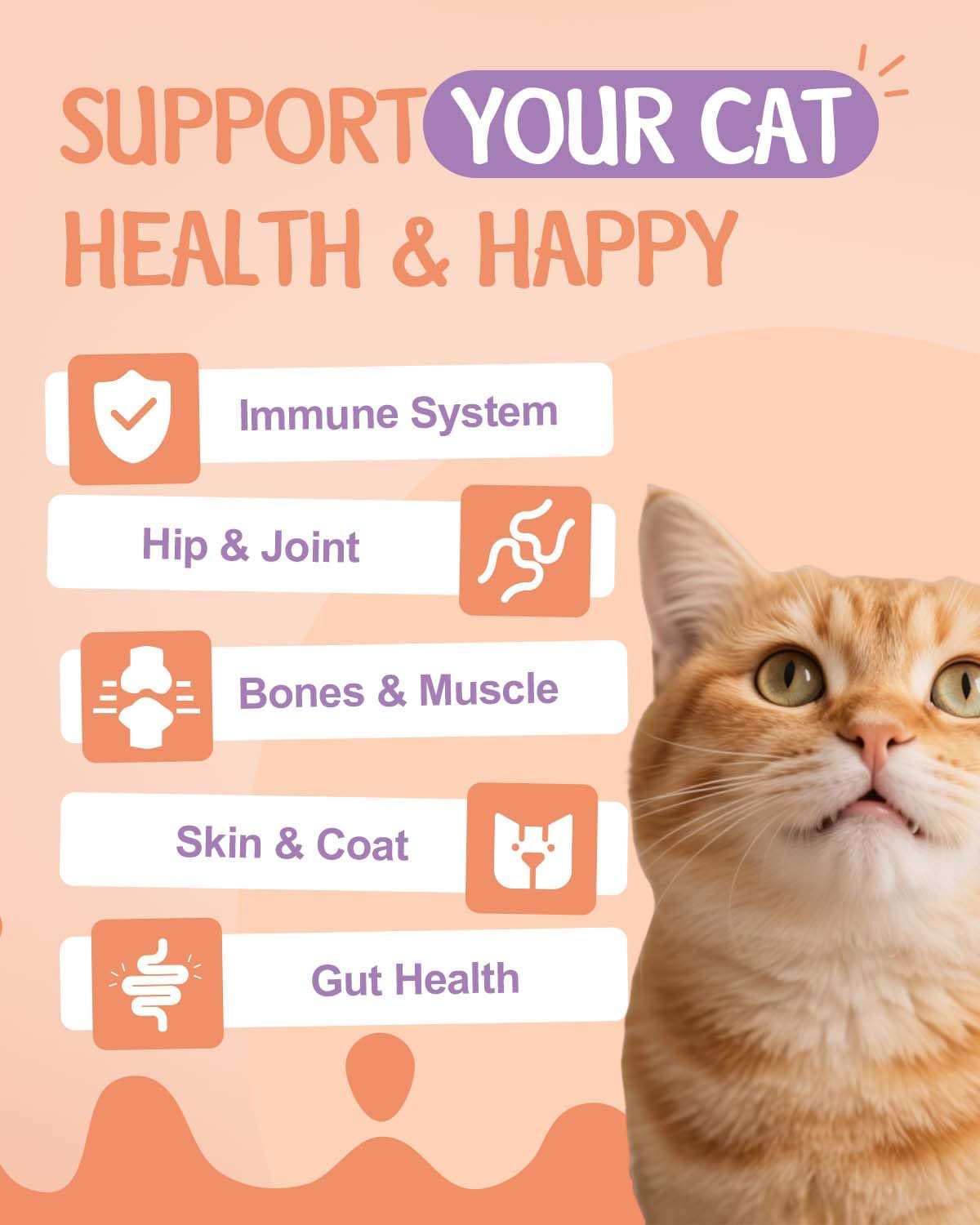 Lysine for Cats & Collagen for Cats - Respiratory, Sneezing, Runny Nose, Eye Function - Hip & Joint, Digestive & Immunity Support - with L-Lysine, Astragalus, Collagen, MSM - Roast Chicken Flavor