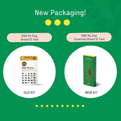 DNA MY DOG – Trusted & Affordable Breed Identification Test | 350+ Breeds Identified w/ 99%+ Accuracy | Complete Breed Analysis, Personality and Behavior Insights | Easy Cheek Swab, Results in 2 Weeks