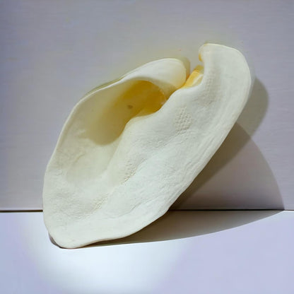 Brazilian Pet 100% Natural Real Cow Ears (50 Pack) Prime Dog Chews, Over 5 inches Free Range Grass Fed Cattle, No additives, Chemicals or Hormones