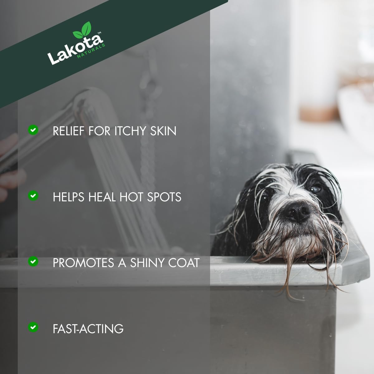 Dog Shampoo Itchy Skin Relief - 16oz, Best Itchy Skin Relief for Dogs, Fast Acting, Soothing Dog Shampoo for Allergies and Itching