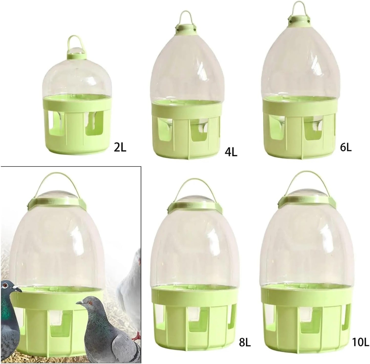 Bird Feeder, Pigeon Water Dispenser, Bird Feeder and Waterer, Pet Bowl, Bottle for Hamster,for Garden(10L)