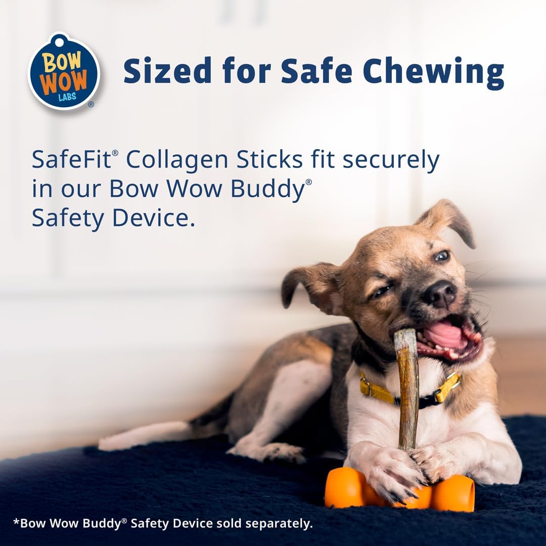 Bow Wow Labs 12" SafeFit Collagen Sticks for Dogs 5 Pack/Thick – All-Natural Chews for Joint, Gut, Bone & Oral Health