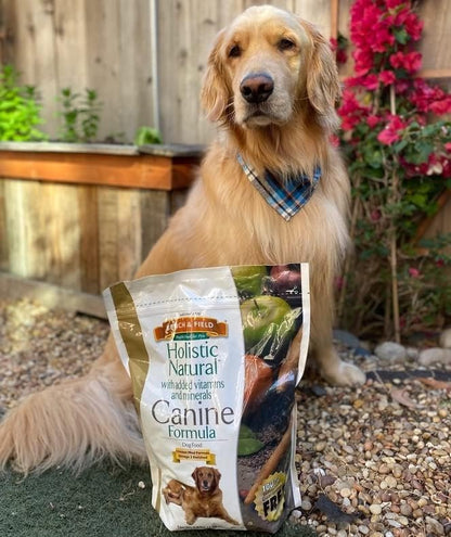 Bench & Field Holistic Natural Adult Dry Dog Food, Chicken Meal and Brown Rice Recipe 6.6 lb Bags (Pack of 3)