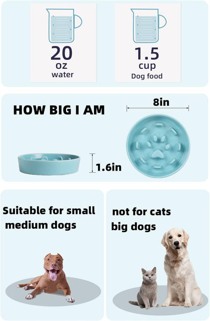 HAOTOP Ceramic Fun Slow Feeder Bowl, Porcelain Slow Eater Bowl for Medium Sized Dogs (Turquoise)