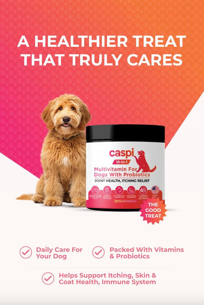 Caspi 10-in-1 Dog Multivitamin with Probiotics – Joint Health, Itching & Skin Relief, Omega-3 Salmon Oil, Glucosamine, Vitamins & Minerals – Daily Chew Supplement for Dogs – 160 Soft Chews