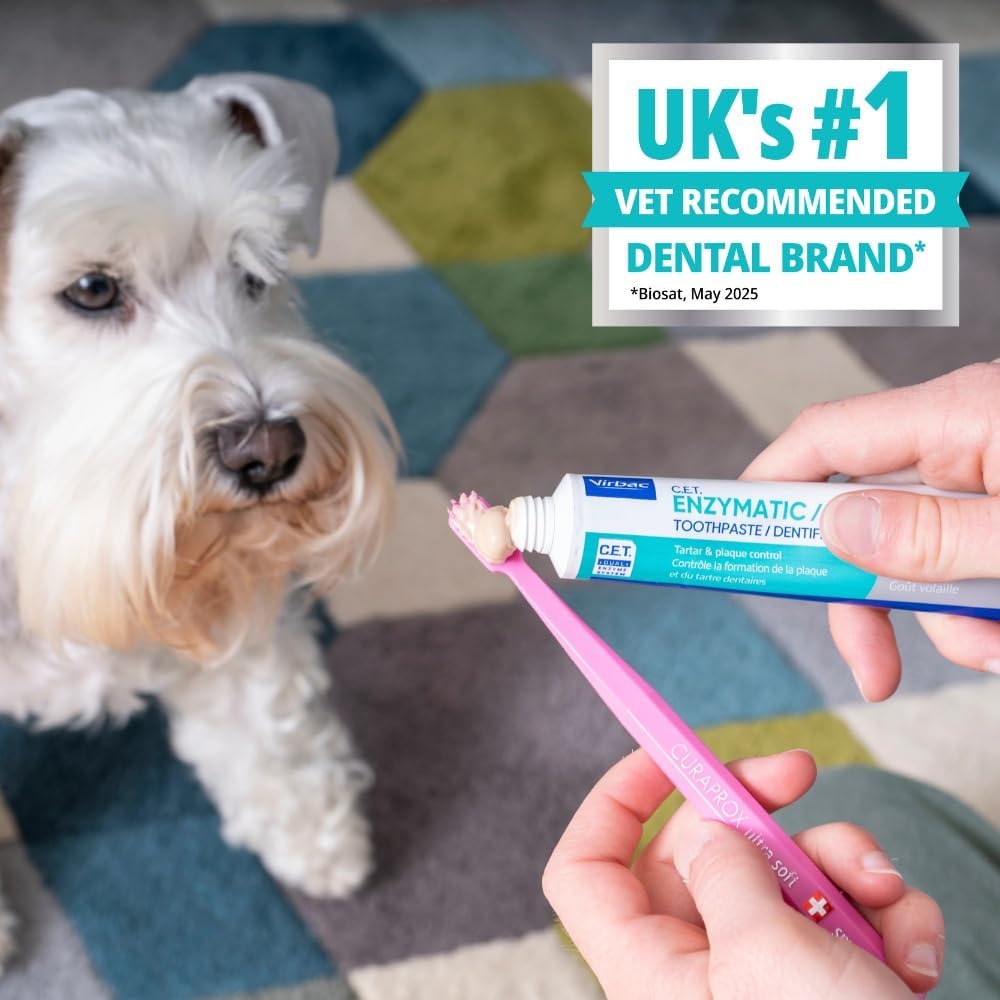 Virbac C.E.T. Oral Hygiene Kit for Cats and Dogs | 3 Piece Set with Dual Ended Toothbrush, Fingerbrush, and Poultry Flavor 2.5 oz tube of Toothpaste | Remove Plaque & Tartar Buildup