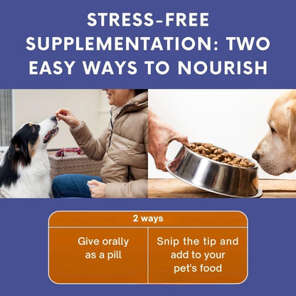 Omega 3 Fish Oil for Dogs & Cats | Dog Prenatal Vitamins | Joint Support | Brain & Heart Health | Pure EPA DHA Omega 3 for Dogs | 100 Soft Gels