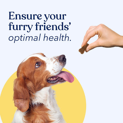 Honest Paws Dog Multivitamin Chews and Fish Oil Bundle