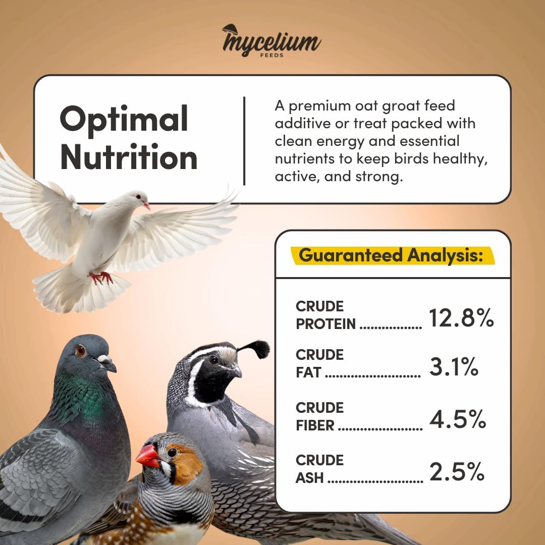 Mycelium Organic Oat Groats for Birds (5 LB Bag) | Clean, Non-GMO Grain Treat or Food Additive | Debris & Dust-Free Advanced Sifting | Ideal for Small Pet & Ground-Feeding Wildlife Birds | Made in USA