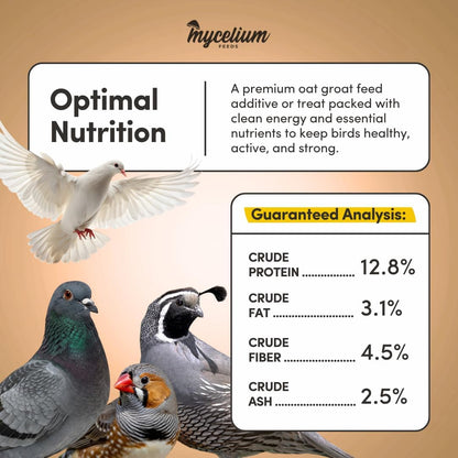 Mycelium Organic Oat Groats for Birds (5 LB Bag) | Clean, Non-GMO Grain Treat or Food Additive | Debris & Dust-Free Advanced Sifting | Ideal for Small Pet & Ground-Feeding Wildlife Birds | Made in USA