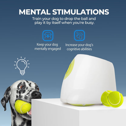 ALL FOR PAWS Automatic Ball Launcher for Dogs Interactive Puppy Pet Ball Outdoor Thrower Fetch Machine, 6 Balls Included (2.5 inch) for Medium to Large Dogs, Rechargeable Battery