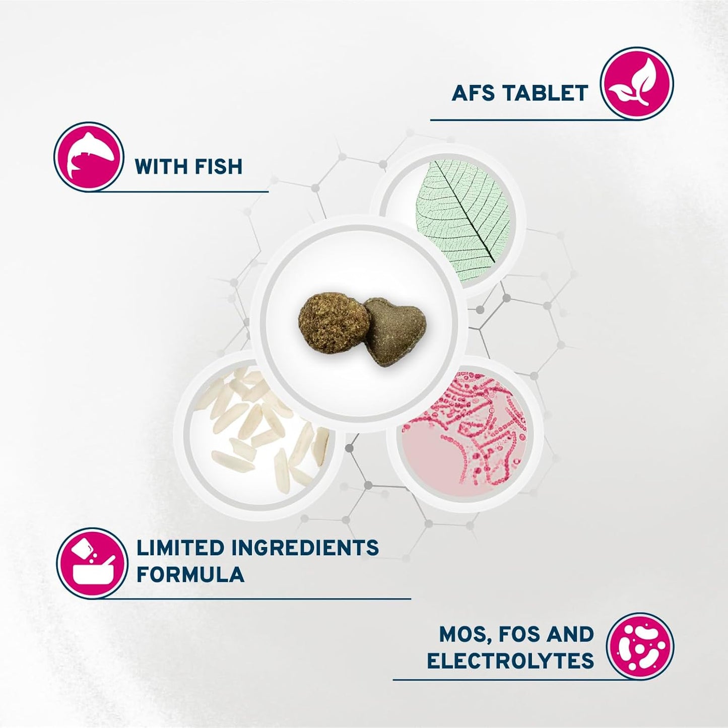 Forza10 - Cat Food, Limited Ingredient Cat Food for Sensitive Stomachs and Digestive Support, Non-GMO, Fish Flavor, Made in Italy (3.3 lb)