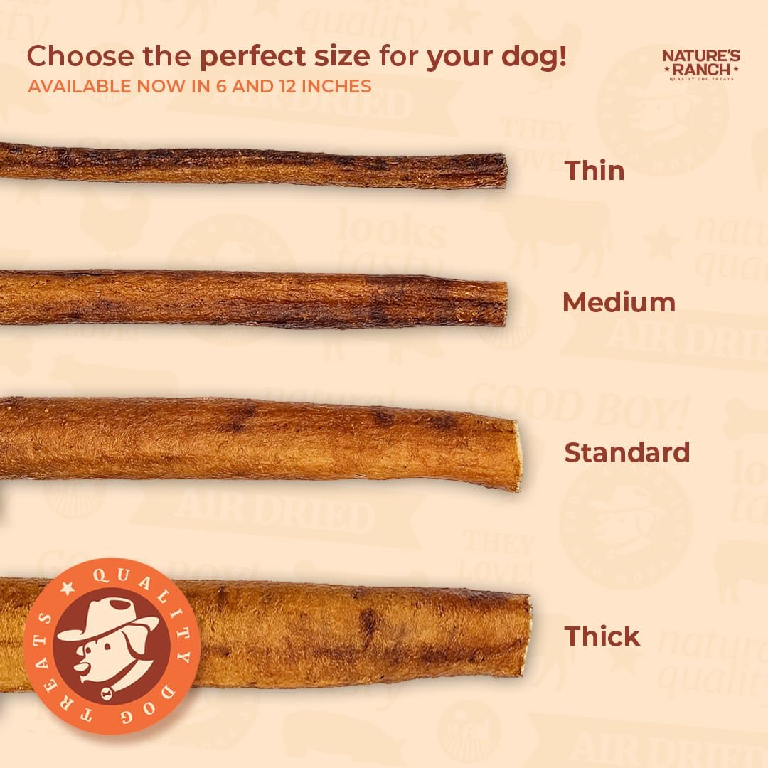 Nature's Ranch Odor-Free Thick Bully Sticks for Medium and Large Dogs 5-6 Inch, 10 Count – Natural, Rawhide-Free, Long Lasting Dog Chews, Single Ingredient, Fully Digestible Treats