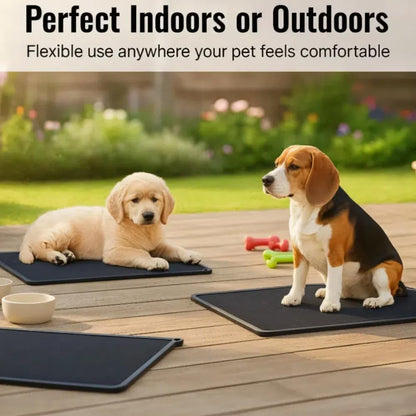 Silicone Pet Nail Care Pad Claw Scratch Board for Dog and Cat File Toy Replaceable Sandpaper to Shorten a Pet Nail