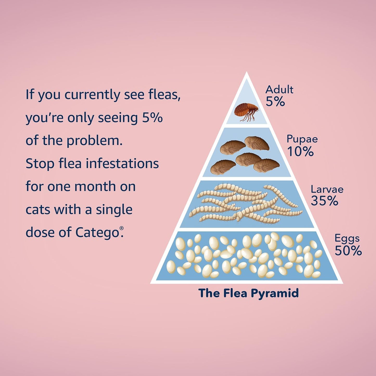 Catego for Cats Flea and Tick Treatment & Prevention (Over 1.5 lbs) 6-Month Supply