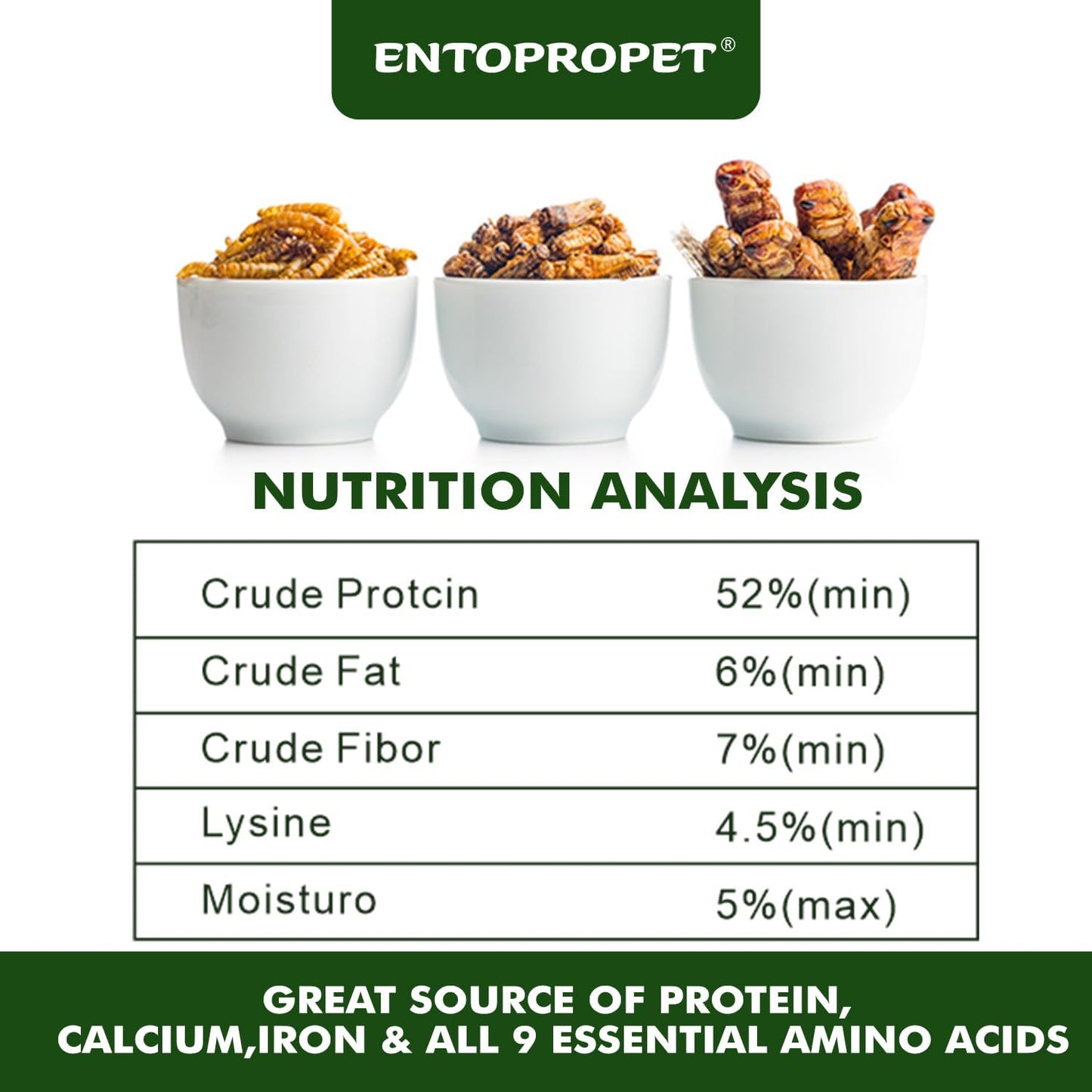 Dried Mealworms and Dried Crickets - Higher in Calcium and Richer in Protein-A Premium Medley Treat Food for Bearded Dragons,Turtles, Birds & Tropical Fish, 5oz