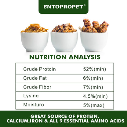 Dried Mealworms and Dried Crickets - Higher in Calcium and Richer in Protein-A Premium Medley Treat Food for Bearded Dragons,Turtles, Birds & Tropical Fish, 5oz