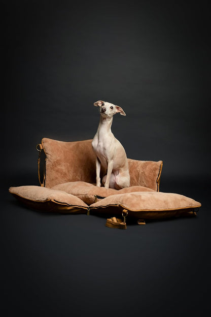 Noah & Paw Dog Car Seat Carrier, Small Dog Car Seat for Small Medium Pets with Harness Clip, 4X Safety Feature, Booster Travel Bed, Washable, Orthopedic Foam Wrapped with Plush, Vegan Leather