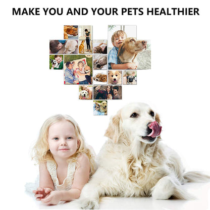 2 Pack Pet Toothbrush and Toothpaste for Dogs & Cats, Best Soft Silicone Pet Finger Toothbrush for Small Dogs Puppy Doggy, Dog Toothpaste Beef Flavor