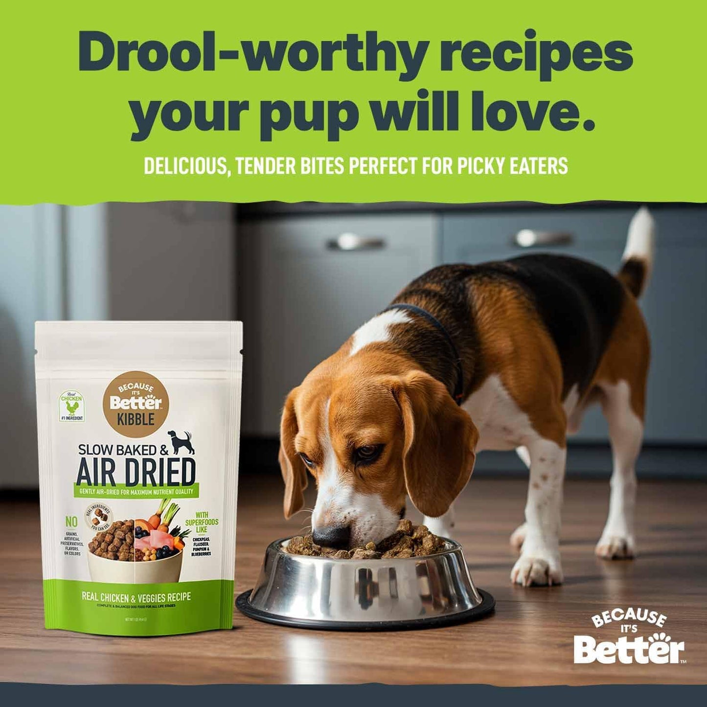Because It's Better Slow Baked and Air Dried Dog Food, Real Chicken and Veggies, 1lb Bag, Complete and Balanced Dry Dog Food, for All Life Stages
