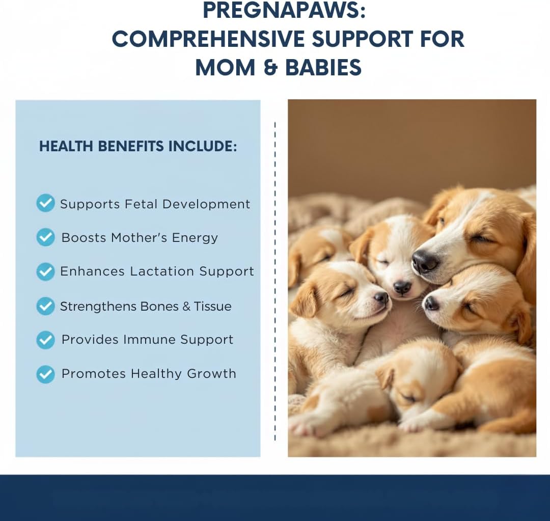 Liquid Prenatal Vitamins for Dogs & Cats - Folic Acid, Calcium & Iron Drops - Essential Support for Dog Pregnacy, Breeding & Lactation - Healthy Litter Growth - Beef Flavor, 60 ml