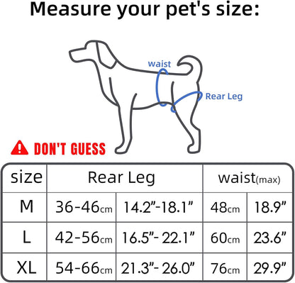 Dog Litf Harness, Dog Sling for Large Dogs Hind Leg Support, Hind Leg Support to Help Rehabilitate, for Elderly, Injured, Arthritic Dogs, L
