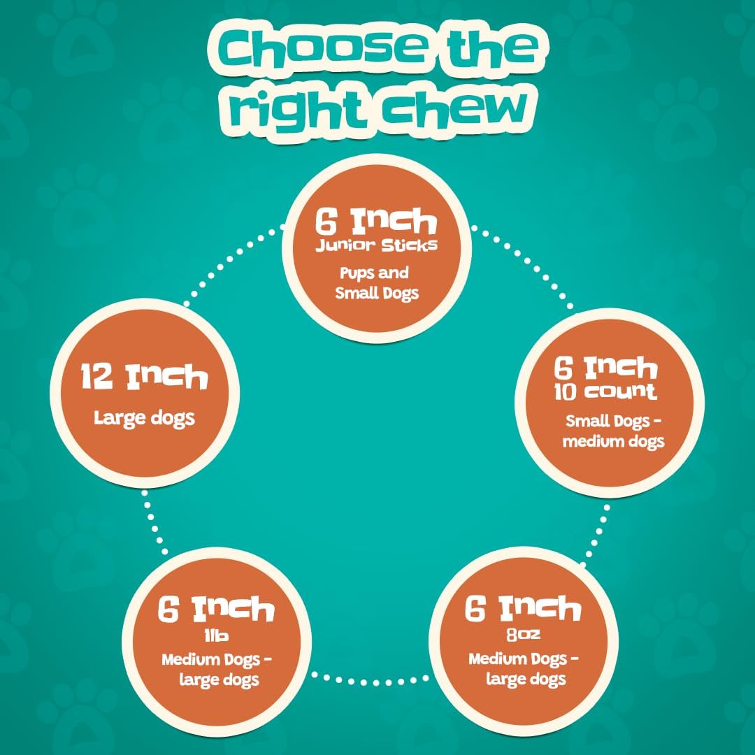 Junior Bully Sticks 6" Beef Bladder — 15 Count | Natural Single-Ingredient, Long-Lasting Dog Chews; Dental Support Treats for Pups and Small Dogs. Puppy Chew Sticks