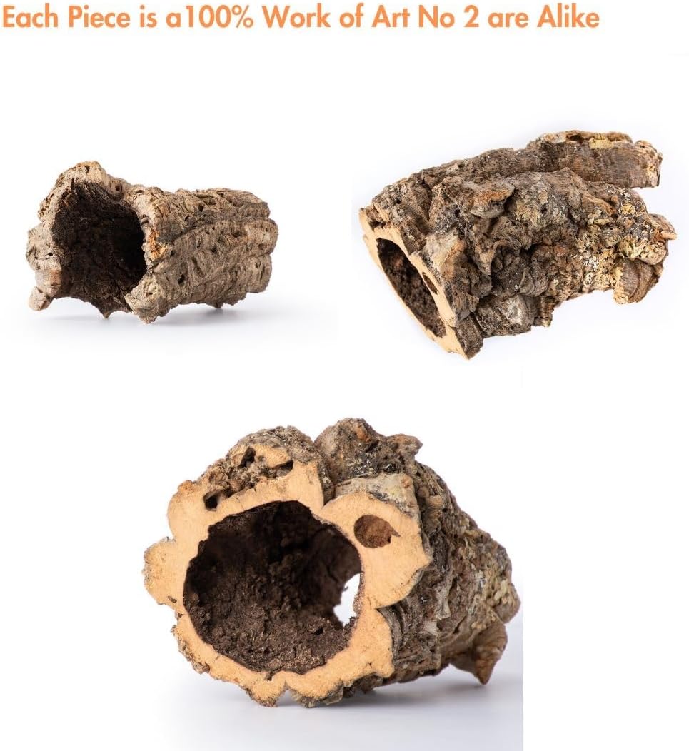 Galápagos (05505) Natural Cork Bark for Reptiles – Ideal for Bearded Dragons, Snakes, and Geckos – Climbing Accessory for Terrariums, Turtle Tanks, and Bird Cages, Tube 7” – 9”, Natural
