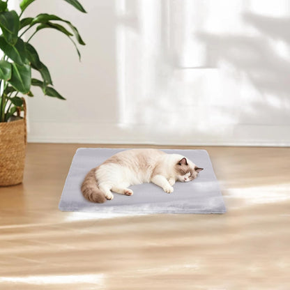 Outdoor Cat House, Weatherproof Insulated Feral Cat Houses for Outdoor Cats, Safe Escape Door, Cat House for Outside, Out Door Stray Cat Shelter with Elevated Base, Cat Houses & Condos(Small)