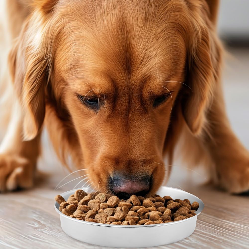 Slow Feeder Dog Bowls with Measuring Spoon, Stainless Steel Slow Feeder for Small & Medium Dogs, Non-Slip Silicone Base Pet Bowl for Fast Eaters, Anti-Gulping Dog Bowl(COLOR:silver)