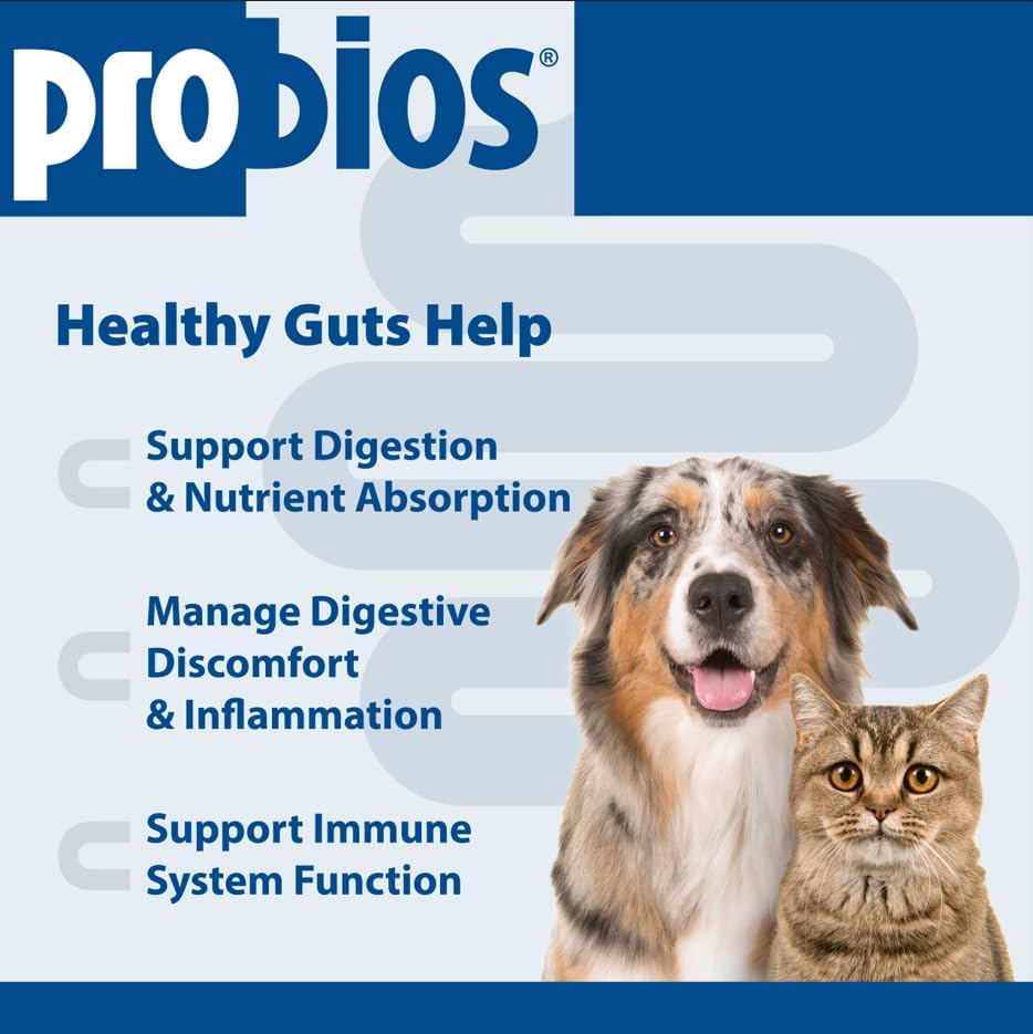 Probios Probiocin Oral Pet Gel for Dogs and Cats, Probiotic Supplement for Digestive & Immune Support, 15 g Tube