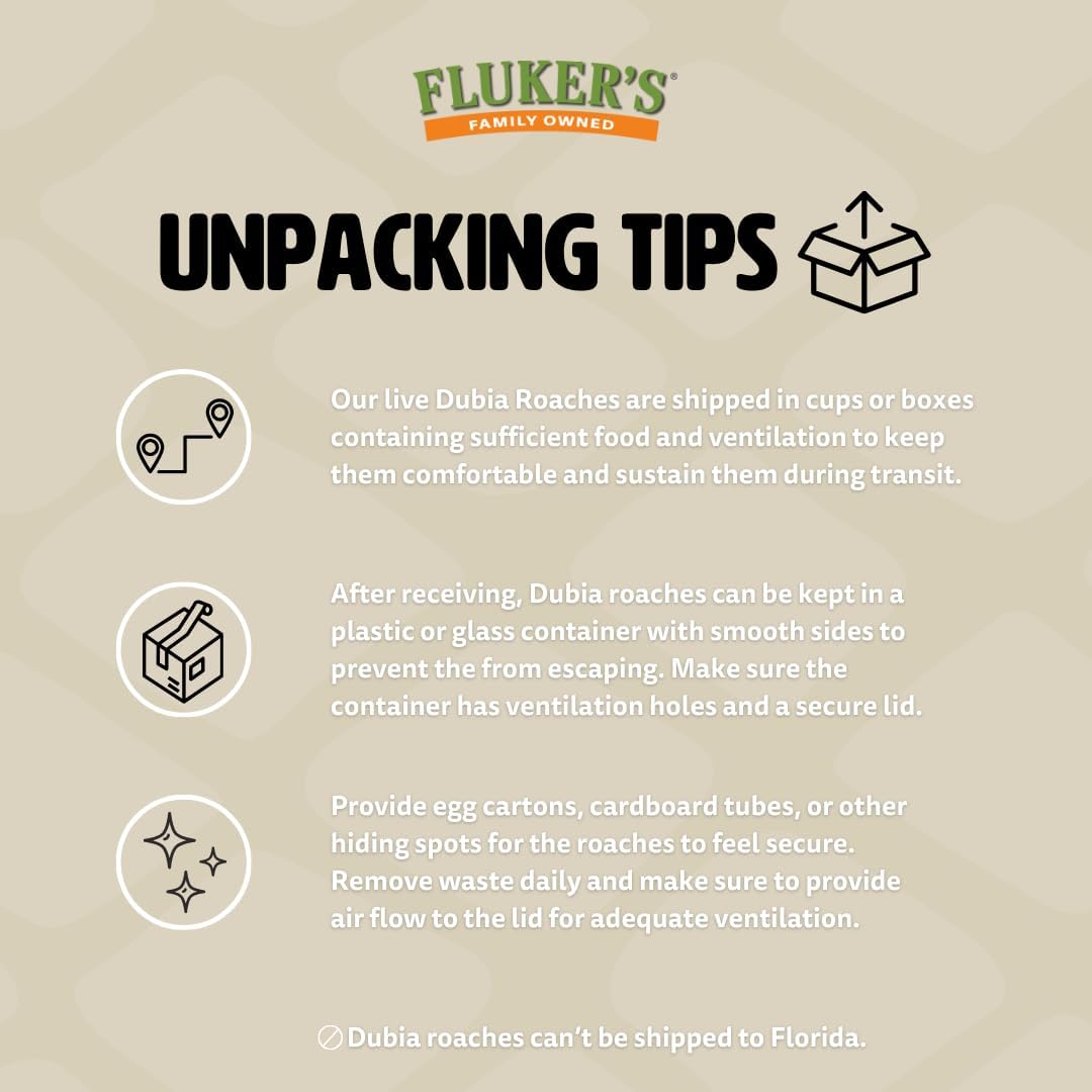 Fluker's Live Dubia Roaches, Premium Feeder Insects for Reptiles, Amphibians, and Arachnids (50 Count Large)