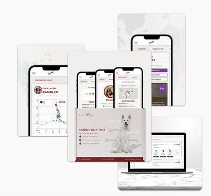 AlphaDog DNA Complete Dog DNA Test Kit – Clinical Grade, Breeder Preferred, and Vet-Approved - Includes Breed Analysis, Health Traits, Behavior Traits, & Coat Traits