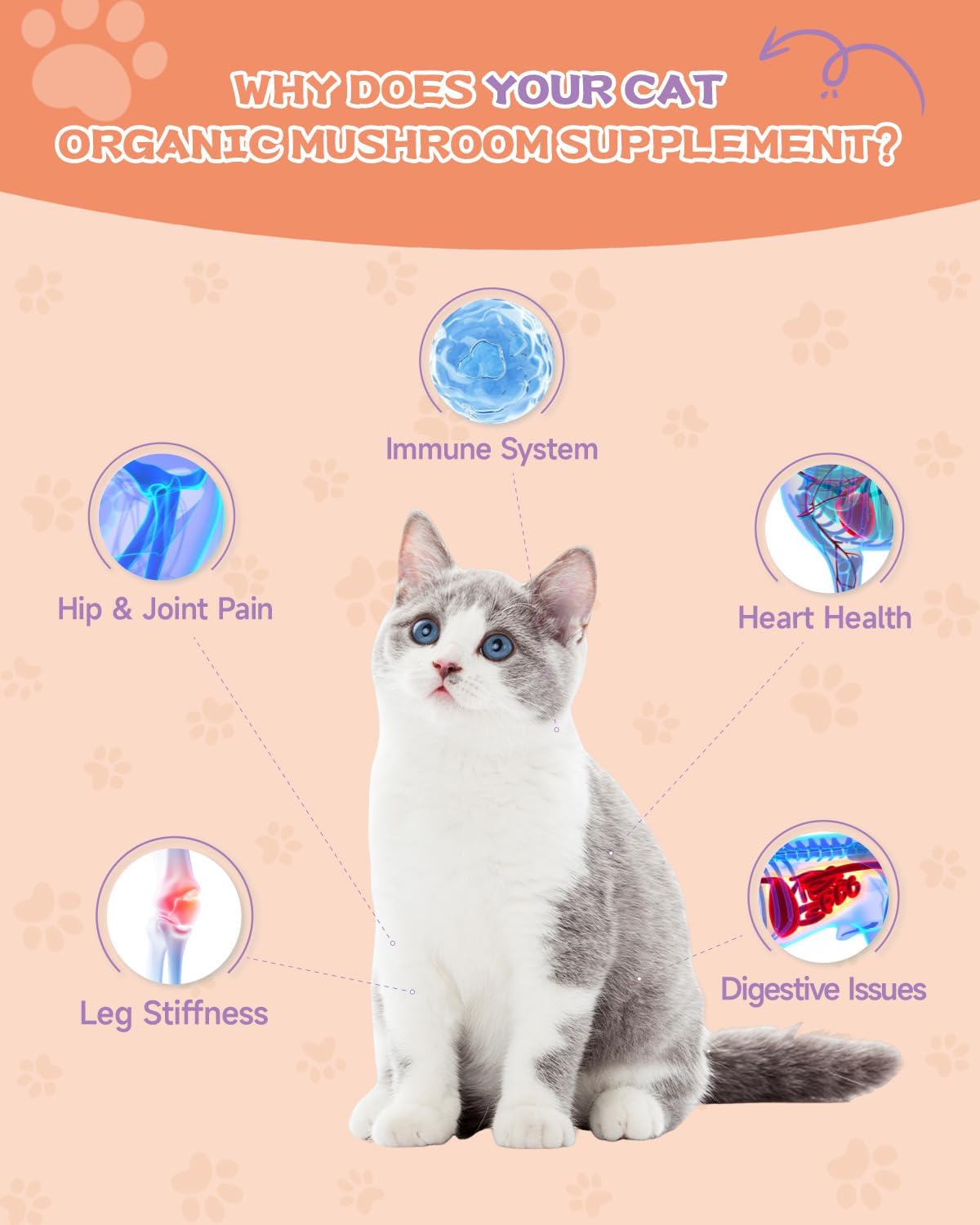 Lysine for Cats & Collagen for Cats - Respiratory, Sneezing, Runny Nose, Eye Function - Hip & Joint, Digestive & Immunity Support - with L-Lysine, Astragalus, Collagen, MSM - Roast Chicken Flavor