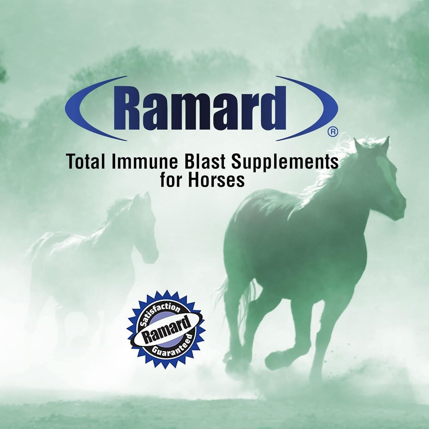 Ramard Total Immune Blast - Equine Immune Support, Horse Vitamin Supplement w/Zinc, Selenium, Omega 3, Omega 6 & Vitamins w/Nucleotides, 30cc Oral Syringe, 1pk