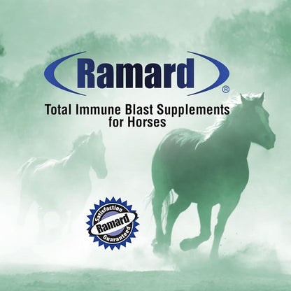 Ramard Total Immune Blast - Equine Immune Support, Horse Vitamin Supplement w/Zinc, Selenium, Omega 3, Omega 6 & Vitamins w/Nucleotides, 30cc Oral Syringe, 1pk