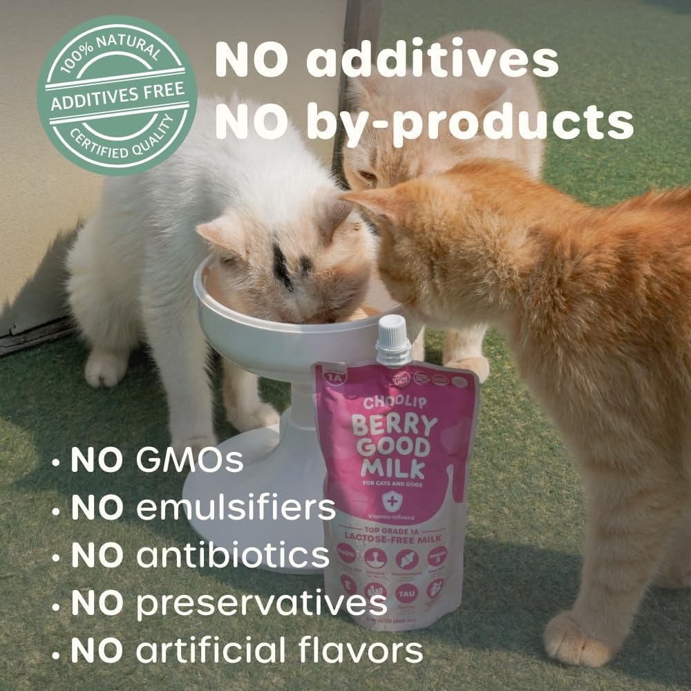 Choolip Berry Good Milk – 10-Pack Lactose-Free Vitamin Milk for Cats & Dogs | Vet-Formulated Pet Drink Supporting Urinary, Joint & Digestive Health | Grain-Free, Ready to Serve