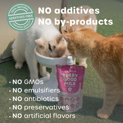 Choolip Berry Good Milk – 10-Pack Lactose-Free Vitamin Milk for Cats & Dogs | Vet-Formulated Pet Drink Supporting Urinary, Joint & Digestive Health | Grain-Free, Ready to Serve