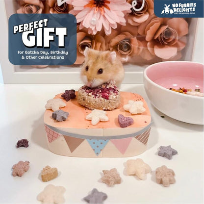 Treats, 100% All Natural Mini Bites for Rabbit Hamster Guinea Pig Chinchilla Pet Rat Mice Gerbil Bird Healthy Enrichment Bonding Rewarding Training Nature's Bites Variety Pack 50g