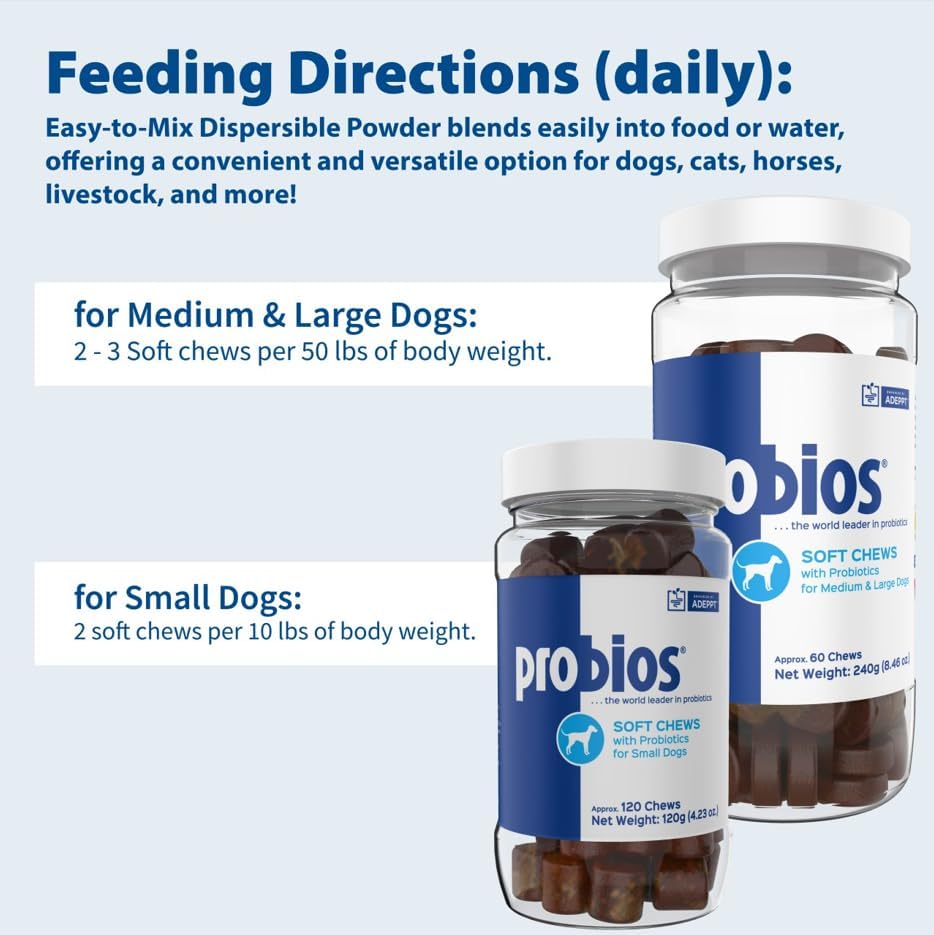 Probios for Dogs Soft Chews, Probiotics for Dogs, Daily Supplement for Gut Health, Digestion & Immune Support, Medium & Large Breeds, 8.46oz