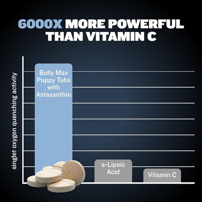 Bully Max Small Breed Dog Immune Support Tablets - Chewable Multivitamin Immunity Booster Supplement for Puppy & Adult Dogs - Pet Vitamins with Astaxanthin, Colostrum, Turmeric - 30 Tabs (2 Bottles)