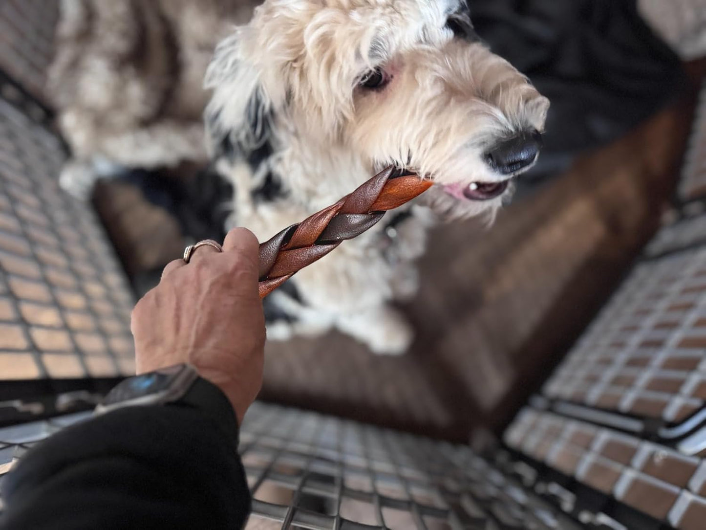 Braided Collagen Sticks for Medium & Large Dogs, 5-6 Inch Beef Collagen Dog Chews Long Lasting, Dog Treats for Aggressive Chewers & Bully Stick Alternative