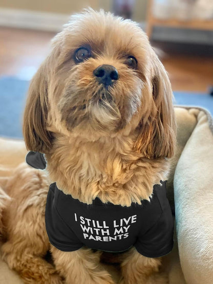 Cute Dog Clothes for Small Dogs Girl, Boy, Puppy. Dog T Shirt for Medium Dog. Breathable Soft Dogs Costume Pet Cats,Pet Pullover Jumper,Cat Clothes (M-(7~11lb),Chest~16",Black,Parents)