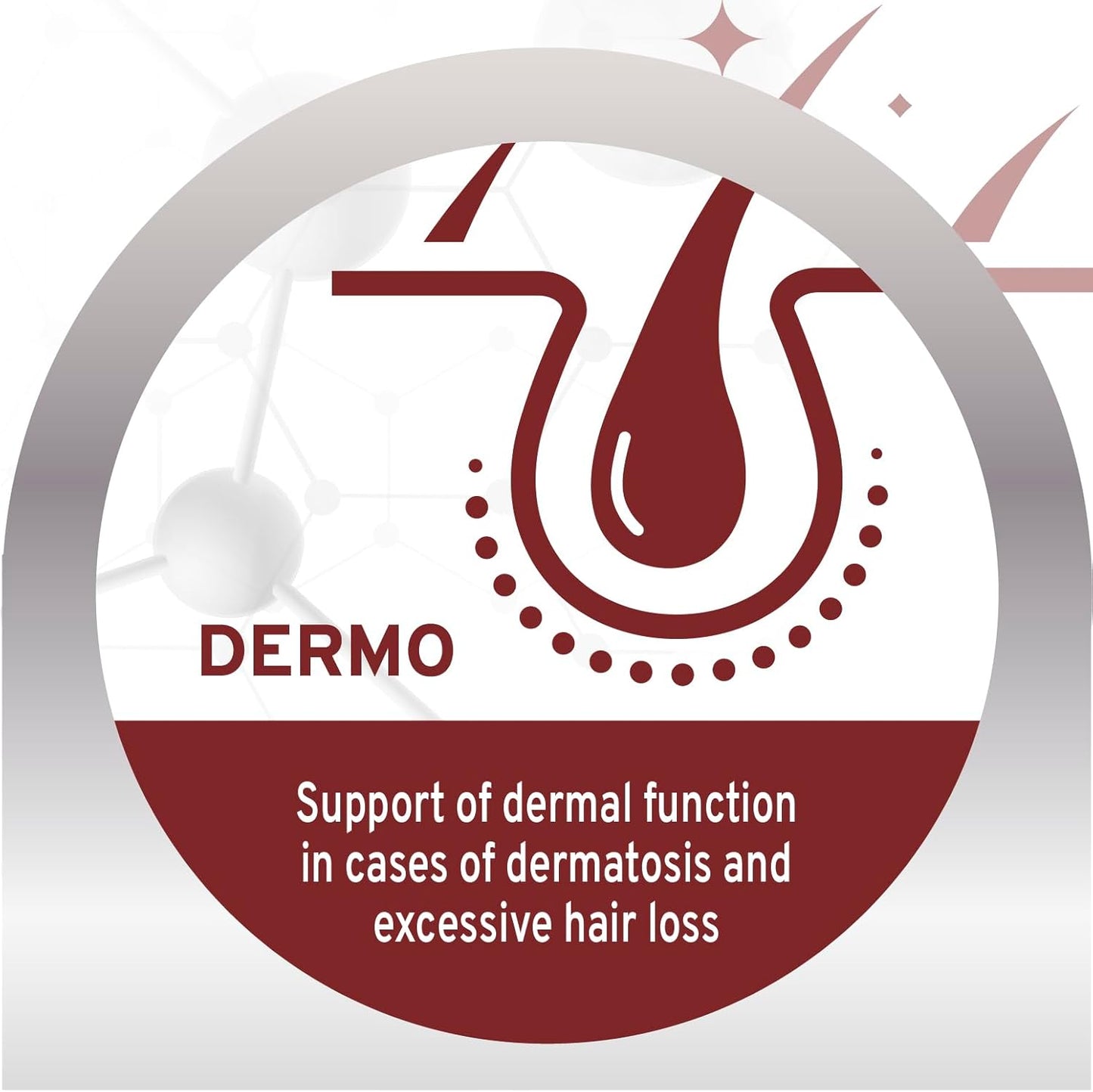 Forza10 - Dog Food, Dermo Dry Food for Itchy Skin, Sensitive Stomach & Coat Health, Limited Ingredient Dog Food, Non-GMO, Fish Flavor, Made in Italy (22 lb)